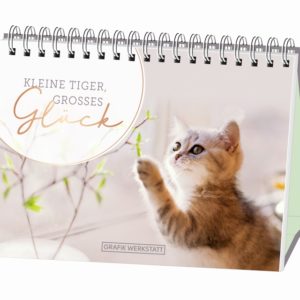 Spiralbuch Kleiner Tiger großes Glück