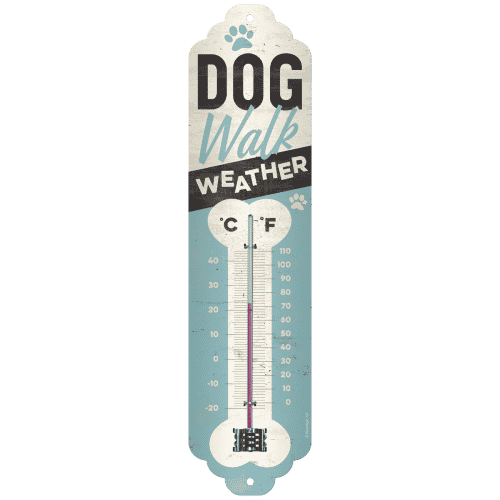 Thermometer Dog Walk Weather