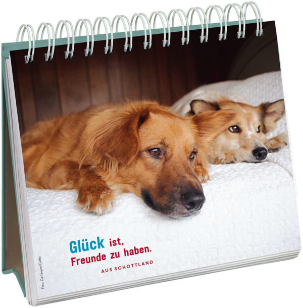 Spiralkalender Für Hundefreunde
