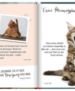 Alternative view of 100 Dinge, die man von einer Katze lernen kann