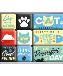 Magnetset 9-teilig Katze Lifestyle