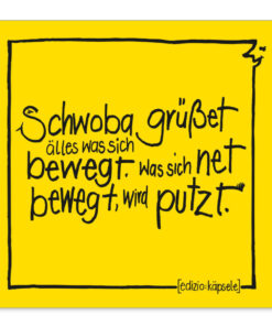 Brillenputztuch Schwoba putzt