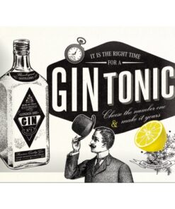 Blechschild Gin Tonic klein
