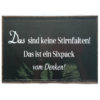 Schild Metall 40x 20 cm Das sind keine Stirnfalten