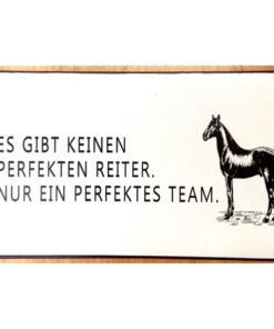Schild Es gibt keinen perfekten reiter