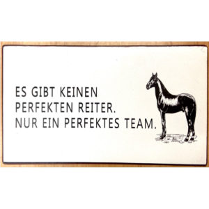 Schild Es gibt keinen perfekten reiter