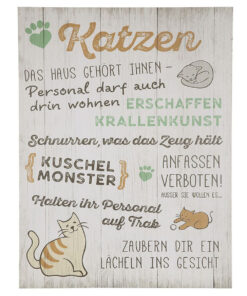 Bild Weisheit Katzen