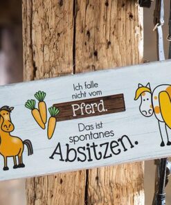 Schild Metall Weisheit Pferde Absitzen