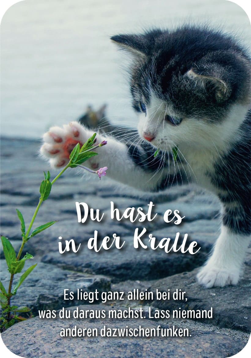 Postkarte Katze Cat „Ganz allein“ 