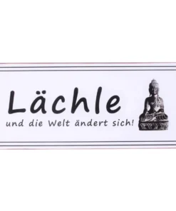 Schild Metall 30,5x13cm Lächle Welt ändert sich