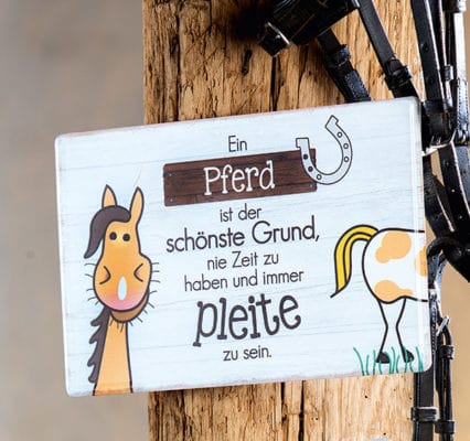 Schild Metall Weisheit Pferd