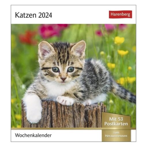 Wochenkalender 2024 Katzen