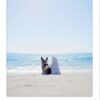 Art Poster beach buds
