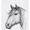 Geschirrtuch Pferdekopf