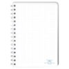 Ringbuch A5 Aristoteles Wind Cedon