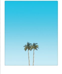 Art Poster happy palm trees