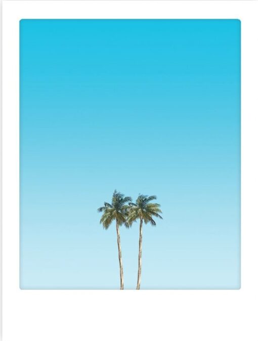 Art Poster happy palm trees