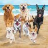 Hunde am Strand Servietten 33 x 33